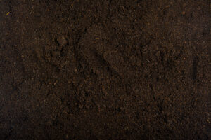 Healthy Soil is Key for healthy trees