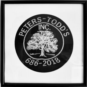 Peters-Todd's Old Tshirt Framed